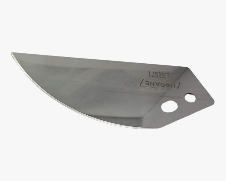 Alimentício 2 alimenticio 01