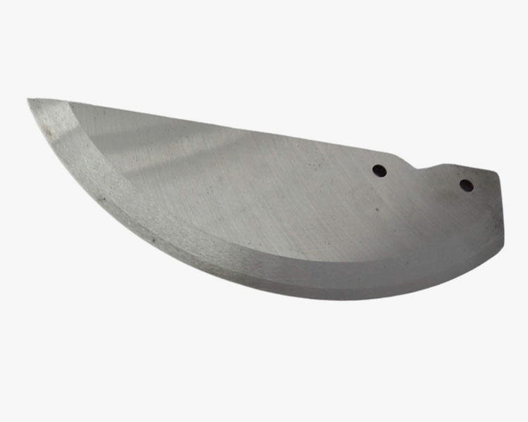 Alimentício 3 alimenticio 02